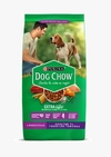 Dog Chow - Longevidad Adultos +7 Todos los tamaños
