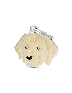 Chapita Golden Retriever