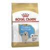 Royal Canin - Golden Retriever Puppy