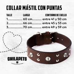 Imagen de Collar Mástil con puntas