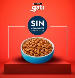 Gati - Pescado y Salmón en internet