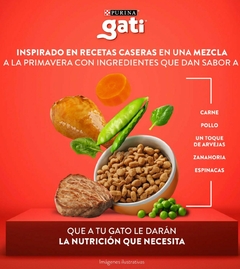 Gati - Carne y Pollo a la jardinera - comprar online