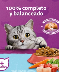 Whiskas Castrad@s - comprar online