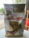 COMBO: Royal Canin Salchicha adulto x3kg + 1 pouch de regalo