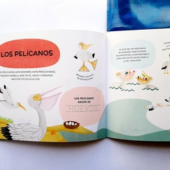ABREMENTE PARA ESCRIBIR, BORRAR Y ESCUCHAR: ANIMALES DEL OCÉANO - Lectorcitos a volar • Librería infantil 