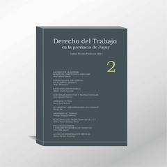 AA.VV. - Derecho del trabajo en la provincia de Jujuy T 2