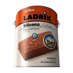 Plavicon Ladrik Silicona Ladrillos Solvente Impermeable Premium 1 L