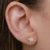 Brinco estrela de 8 pontas Ear Cuff cravejado com micro zircônias cor cristal com Banhado em Ouro 18k - comprar online