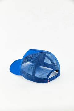 CURVED STRUCTURED VISOR TRUCKER LEVIS (9350) - comprar online