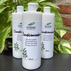 KIT Cresce e Fortalece de Gengibre (Hidratante) - 500ml - comprar online