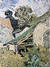 Pôster do complexo Van Gogh na internet