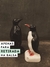 Pinguins Românticos