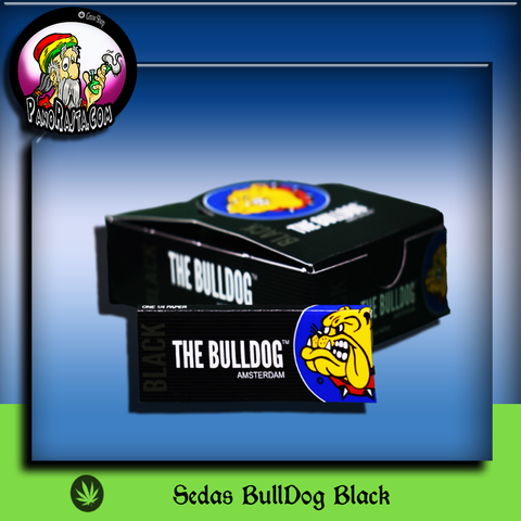 SEDAS BULL DOG AMSTERDAM BLACK 1 1/4