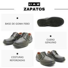 Zapatos Chipre 5242 Febo