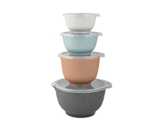 Set de 4 bowls con tapa de tamaños distintos