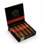 PARTAGAS SERIE D N6 petaca x5