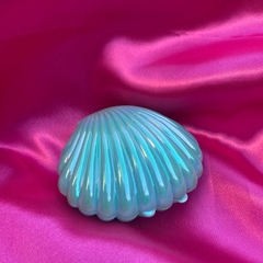 Seashell - Magic box - Malbecc