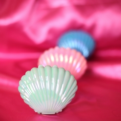 Seashell - Magic box - comprar online