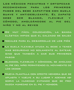 Imagen de Zapatilla ergonomica MAX-R Dinos Verde