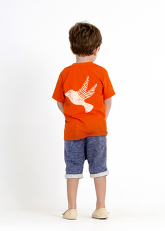 Conjunto Infantil Masculino Fly - Marca Precoce - Pose Costas