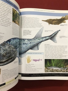 Livro - Enciclopédia Dos Dinossauros E Da Vida Pré-Histórica - Seminovo - loja online