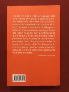 Livro - A Pediatra - Andréa Del Fuego - Companhia Das Letras - Seminovo - comprar online