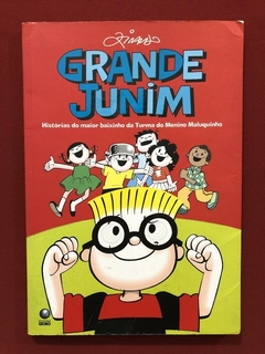 Livro - Grande Junim - Ziraldo - Editora Globo