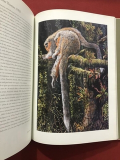 Imagem do Livro - Mamíferos Do Brasil - Uma Visão Artística - Tomas Sigrist