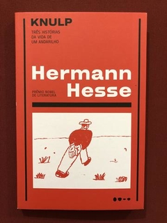 Livro - Knulp - Herman Hesse - Editora Todavia - Seminovo