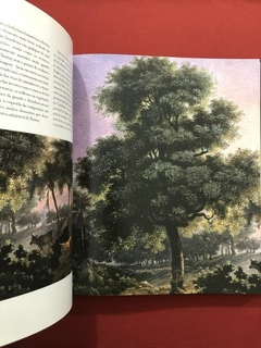 Imagem do Livro - Taunay E O Brasil - Obra Completa 1816-1821 - Capivara - Seminovo