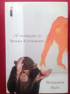 Livro - A Evolução De Bruno Littlemore - Seminovo