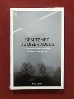 Livro - Sem Tempo De Dizer Adeus - Carla Fine - Novo