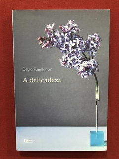 Livro- A Delicadeza- David Foenkinos - Ed. Rocco - Seminovo