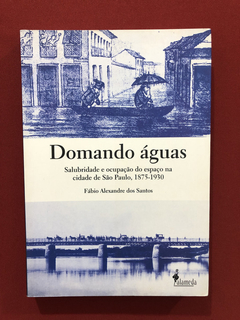 Livro - Domando Águas- Fábio Alexandre Dos Santos- Seminovo