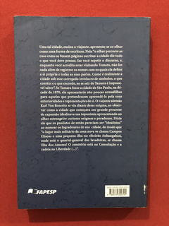 Livro - Domando Águas- Fábio Alexandre Dos Santos- Seminovo - comprar online