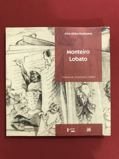 Livro - Monteiro Lobato - Alice Mitika Koshiyama - Seminovo