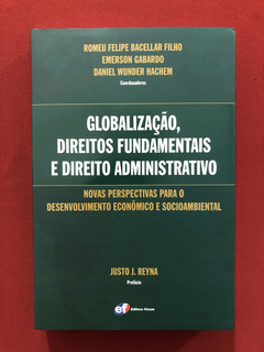 Livro- Globalização, Direitos Fundamentais- Ed Fórum- Semin.