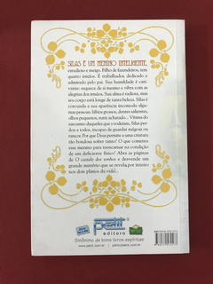 Livro - O Castelo Dos Sonhos - Antônio Carlos - Seminovo - comprar online