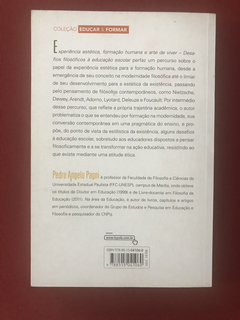 Livro- Experiência Estética, Formação Humana - Seminovo - comprar online