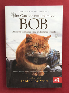 Livro - Um Gato De Rua Chamado Bob - James Bowen - Seminovo