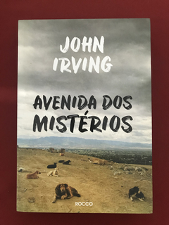 Livro - Avenida Dos Mistérios - John Irving - Seminovo