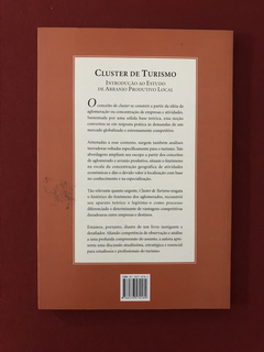 Livro - Cluster De Turismo - Silvia Thomazi - Seminovo - comprar online