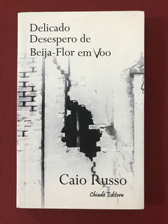 Livro - Delicado Desespero De Beija-Flor Em Voo - Seminovo