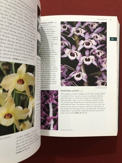 Livro - Botanica's Orchids: Over 1,200 Species Listed - Seminovo - Sebo Mosaico - Livros, DVD's, CD's, LP's, Gibis e HQ's