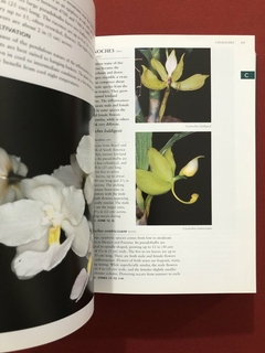 Livro - Botanica's Orchids: Over 1,200 Species Listed - Seminovo - loja online
