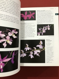 Imagem do Livro - Botanica's Orchids: Over 1,200 Species Listed - Seminovo