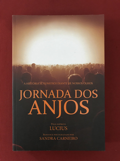 Livro - Jornada Dos Anjos - Sandra Carneiro - Seminovo