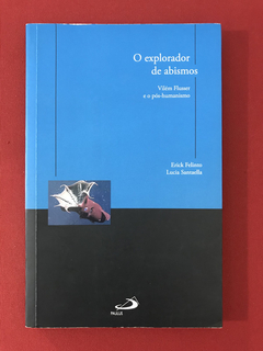 Livro - O Explorador De Abismos - Erick Felinto - Seminovo
