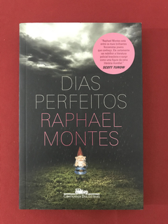 Livro - Dias Perfeitos - Montes, Raphael - Seminovo
