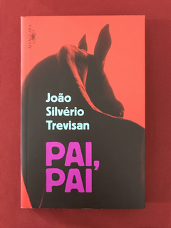 Livro - Pai, Pai - João Silvério Trevisan - Seminovo